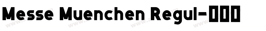 Messe Muenchen Regul字体转换
